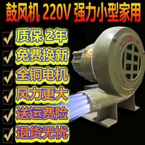 Blower 220V powerful small barbecue electric firewood speed regulation small household stove hair dryer centrifugal