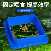  Fish feed Feeding ring Feeding feed ring Feeding feeding ring Aquarium floating fish floating feed ring with suction cup