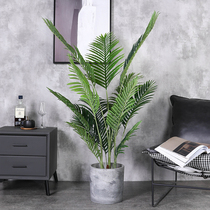 Nordic style large green plant simulation decoration living room home landing bonsai office anchovy potted plants