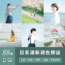 Japanese PS preset hipster portrait LR color lightroom Leonardo da Vinci PR video FCPX luts filters