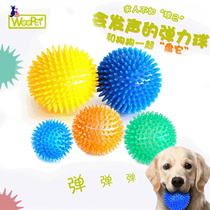 Pet dog dog toy molars bite-resistant ball golden hair Teddy Corky puppies tease dog voice elastic toy ball