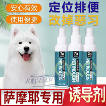Samoye Private Pet Supplies Lashit Inducing Agents pooch Relieving Spot training Guided Toilet Training Toilet liquid
