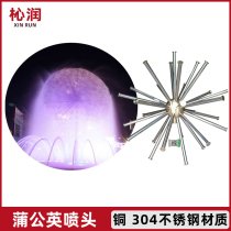 Dandelion sprinkler crystal ball all copper stainless steel hemisphere global waterscape landscape fountain fish pool courtyard square