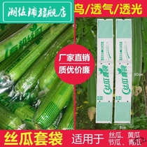 Luffa bagging special fruit bag cucumber insect-proof waterproof bitter gourd fruit and vegetable protection cover melon crops