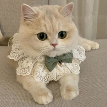 Одежда для кошек тонкая осенняя одежда кукла кошка котенок молоко котенок юбка принцесса платье кошка рождественский шарф ошейник