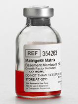 Corning Matrigel matrix glue without LDEV 354263 10ml