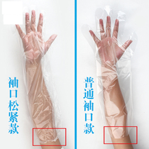 Disposable gloves extended food grade pe shampoo plastic latex rubber thick rubber film cake shop household
