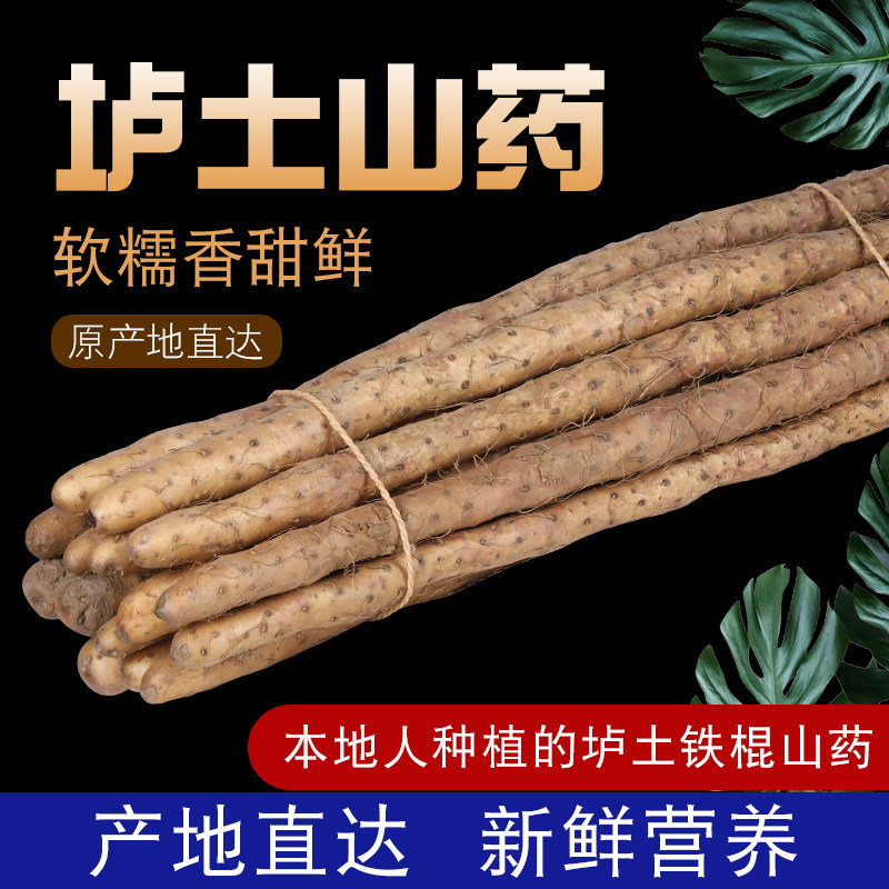 Wenxian 垆 earth iron stick yam powder Henan coking fresh pig iron Wyshan Huai yam 5 catties
