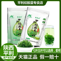 Authentic Pingli twisted stock Blue dragon beard tea Five-leaf sweet seven-leaf bitter Three-high tea flagship store Wild premium