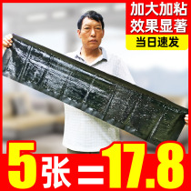 Sticky mouse board strong dip mouse paste adhesive board mousetrap artifact home enlarged 5 pieces