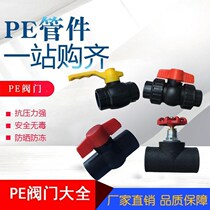 PE water pipe fittings 2025325063 Double Union steel core Ball Valve Globe valve hot melt valve switch 75 90