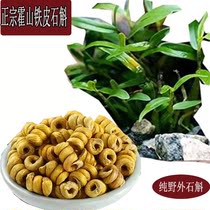 Yunnan Huoshan Dendrobium candidum fresh strip Maple 150g health tea Chinese herbal medicine gift box Special