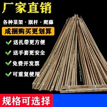 Small bamboo fine bamboo pole Vegetable decoration outdoor melon pergola pole Bamboo stem pointed bamboo fence Fishing rod Old-fashioned Gracilaria