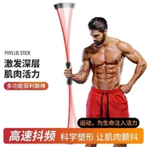 Fei Rod Pendulum Airplane Stick Flying Rod Fitness Bar Fitness Shaping Phyllis Multifunctional Reduction