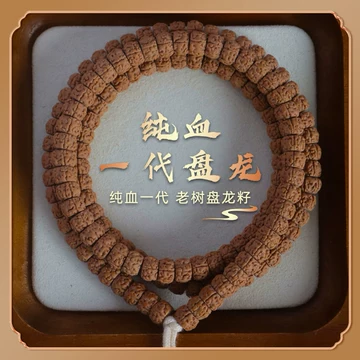 【収蔵級】文玩 形揃い 一代龍金剛菩提108念珠 10mm 极品一代盘龙小金刚 一代盘龙小金刚-一代盘龙小金刚促销价格、一代盘龙小金刚品牌- 淘宝