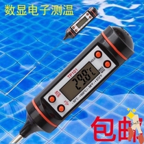 Swimming pool water temperature thermometer fish pond measuring instrument commercial underwater temperature measuring pool Fish Culture temperature gauge for Fish Tank