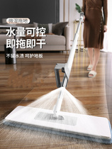 Home hand-free hand wash mop a mop net mop 2020 new quick-drying mop artifact spray flat mop lazy man