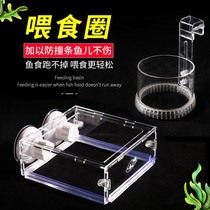 Duckweed fixed ring fish fish tank feeding ring large floating large aquarium feeding ring transparent fish feeder New