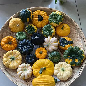 南瓜文玩-南瓜文玩促销价格、南瓜文玩品牌- 淘宝