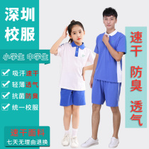 Shenzhen school uniform quick-drying deodorant fabric Middle school Middle School school uniform Primary school summer suit Short-sleeved top trousers