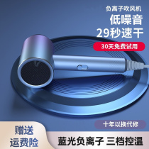 German electric hair dryer household large wind negative ion hair protection low noise hair salon dedicated high-power blower quick drying