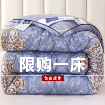 Authentic silk quilt 100 mulberry silk Spring and autumn quilt cotton quilted by core thickened winter quilted by single double 10 catty winter