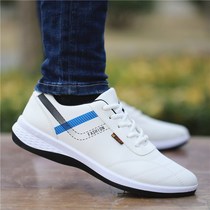 Li Ning VIP mens shoes 2021 new spring summer trend leather sports small white shoes youth wild casual board shoes