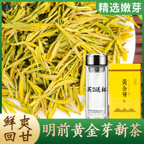 Mingqian Golden Bud Tea 2021 New tea Spring Tea Zhejiang Anji selected white tea Green tea leaves 125g Bulk box