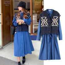 Maternity Dress Set Autumn Winter 2021 Loose Womens West Knitted Top Deer Leather Dress Maternity Autumn Dress Plus Size
