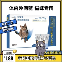 Big pet cat with in vitro insect repellent drops in vivo and externally integrated flea adult cat in vitro medicine