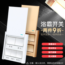 Five-open bath overpower switch 5 light toilet warmer warm blower control panel Home bathroom toilet Five-in-one