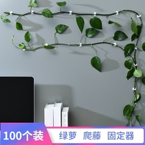 Green basket climbing artifact incognito wall climbing vine plant climbing vine hook does not hurt the wall flower snap clip