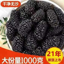 New goods in Xinjiang Turpan wild mulberry dry clean no sand Mulberry no sand large particles bubble water Tea