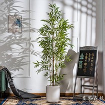 Chinese fake bamboo Artificial tree plant Bionic green plant potted indoor window landscaping decorative ornaments Courtyard partition