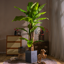 High-end super-large simulation green plant broad-leaved banana tree indoor bionic tropical plant landscaping fake tree decoration ornaments