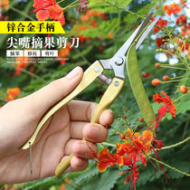Stainless steel pruning scissors Grape picking scissors Garden scissors Coarse branch scissors Branch repair flower saving gardening scissors