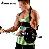 Biceps training plate bracket arm forearm biceps training device barbell dumbbell fixed frame curved lifting support plate