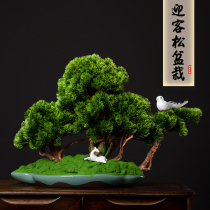 Simulation welcome pine bonsai planting New Chinese office decoration Living room entrance Hotel green tree decoration soft decoration