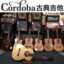 (Rhine instrument) Córdoba classical guitar C5C7C9Orchestra39 inch