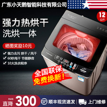 Small Swan Island Fully Automatic Washing Machine Household Large Capacity Rental Mini Elution Integrated Wave Wheel Thermal Drying