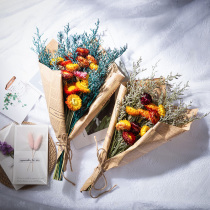 Colored chrysanthemum chrysanthemum lover grass dry flower bouquet ins Wind Net red gift for girlfriend home dormitory desktop decoration