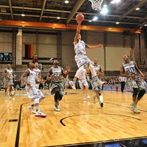 Basketball Hall sports solid wood flooring badminton court floor maple birch wood solid floor gymnasium dedicated wooden floor