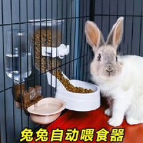 Rabbit Automatic Feeder Anti Waste Food Basin Pet Feeder Eat Grass Feeding Trough Supplies Small Rabbit Drinkers
