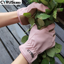 Cyras cut-proof stab-resistant gloves gardening rose cactus floral technique thickening wear-resistant anti-tie