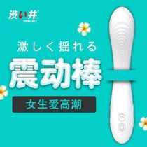 Seokai couple supplies fairy vibrator female Electric a v vibrator can be inserted into charging Japan imported