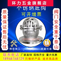 Stainless Steel 304 Underwater Valve Flange Suction Valve H42W-6P 16p Lifting Water Pump Flower Orchid Head Check Valve