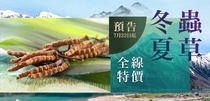 Hong Kong Upstairs Cordyceps Dragon Head Amakusa Tribute Treasures Selected Cordyceps