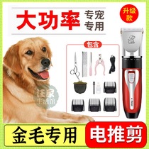 Golden hair special two-in-one dog shaving pet shop electric clipper electric clipper high power professional artifact soles