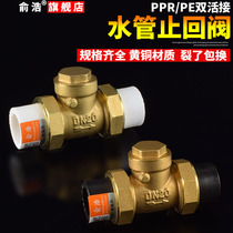 PPR water pipe check valve PE double movable check valve tap water pipe water meter check valve copper horizontal vertical 4 minutes 20