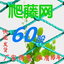 2021 new plant climbing vine net melon fruit net vegetable garden fence poultry chicken net nylon windproof net passion fruit hanging